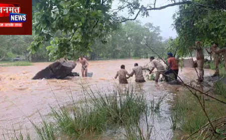 चन्दौली: पिकनिक स्पॉट पर अचानक बढ़ा जलस्तर, तीन युवक फंसे; पुलिस और वन विभाग की संयुक्त टीम ने किया रेस्क्यू