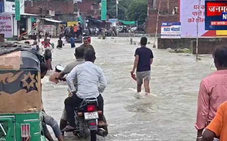 मिर्ज़ापुर: भारी बरसात के कारण जरगो नदी में आया उफान, संपर्क मार्ग बाधित; भारी मुश्किलों से जूझ रहे है लोग