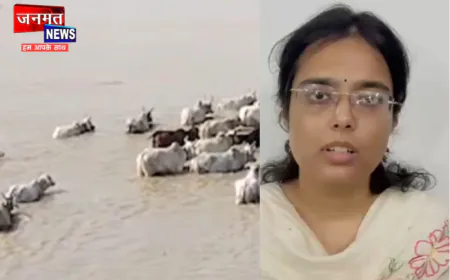 हरदोई के रामगंगा की लहरों में दिखे मवेशी, वीडियो सोशल मीडिया पर वायरल; प्रशासन ने दी सफाई