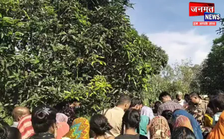 सीतापुर: आम के पेड़ से लटकता मिला युवक का शव, मौके पर पहुंची पुलिस व फॉरेंसिक टीम