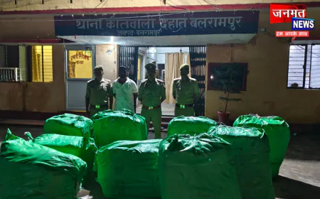 बलरामपुर: चॉकलेट-बिस्कुट की दुकान की आड़ में पटाखों का अवैध कारोबार, 1080 पैकेट बरामद