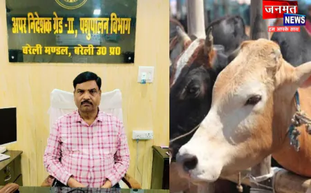 बरेली: गौवंश की देखरेख व सुरक्षा को लेकर पशुपालन विभाग की भूमिका संदिग्ध, बीमारी से जूझ रहे गौवंश