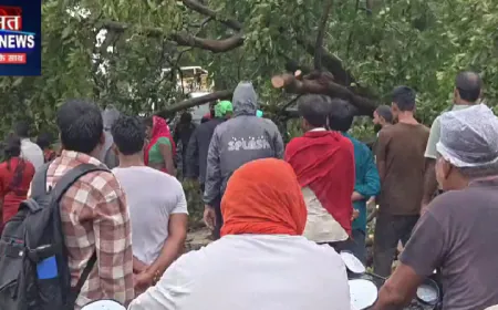 बहराइच में 72 घंटे से लगातार बारिश से जनजीवन प्रभावित, कई इलाकों में पेड़ गिरने से सड़कें बाधित