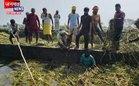 औरैया: अन्हैया नदी का जलस्तर बढ़ने से धान के खेतों में भरा पानी, किसानों ने किया श्रमदान