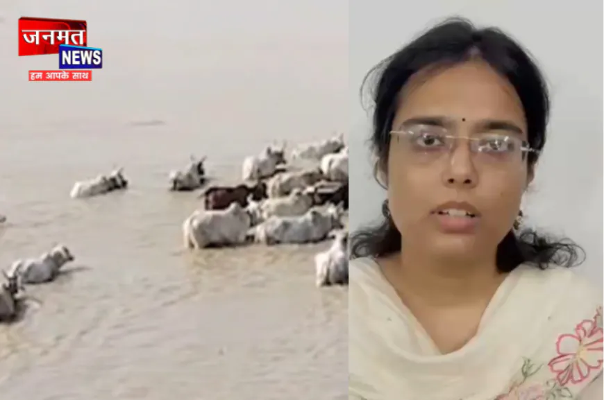 हरदोई के रामगंगा की लहरों में दिखे मवेशी, वीडियो सोशल मीडिया पर वायरल; प्रशासन ने दी सफाई