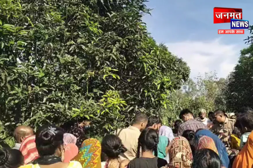 सीतापुर: आम के पेड़ से लटकता मिला युवक का शव, मौके पर पहुंची पुलिस व फॉरेंसिक टीम