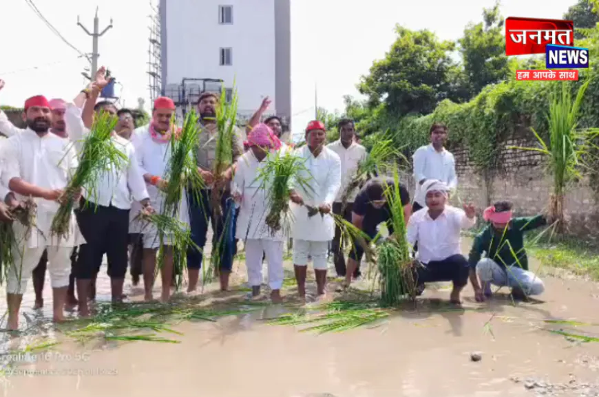चंदौली: बदहाल सड़क को लेकर सपा का अनोखा विरोध प्रदर्शन, जलभराव वाली सड़क पर रोपा धान