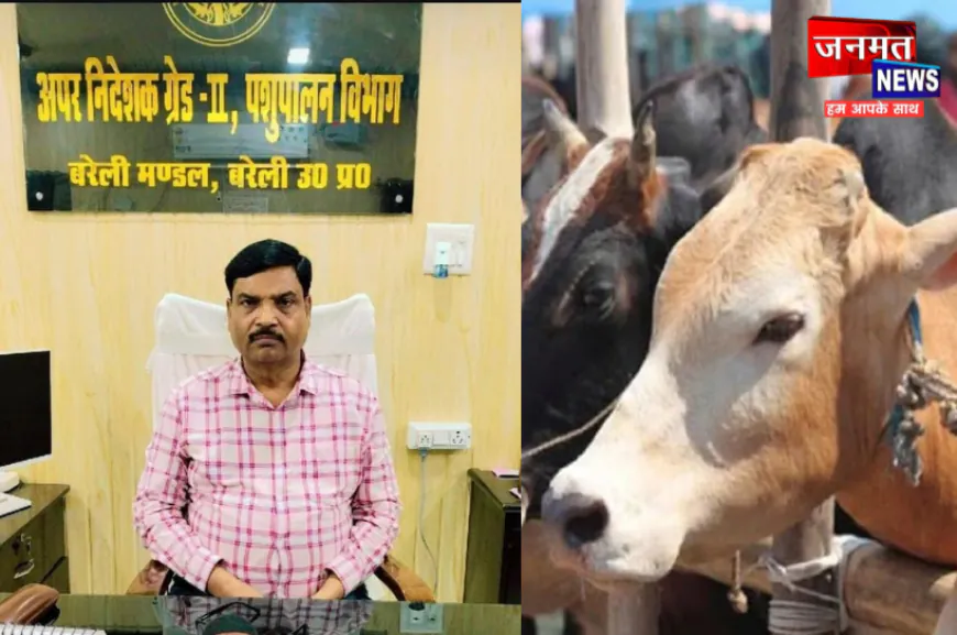 बरेली: गौवंश की देखरेख व सुरक्षा को लेकर पशुपालन विभाग की भूमिका संदिग्ध, बीमारी से जूझ रहे गौवंश