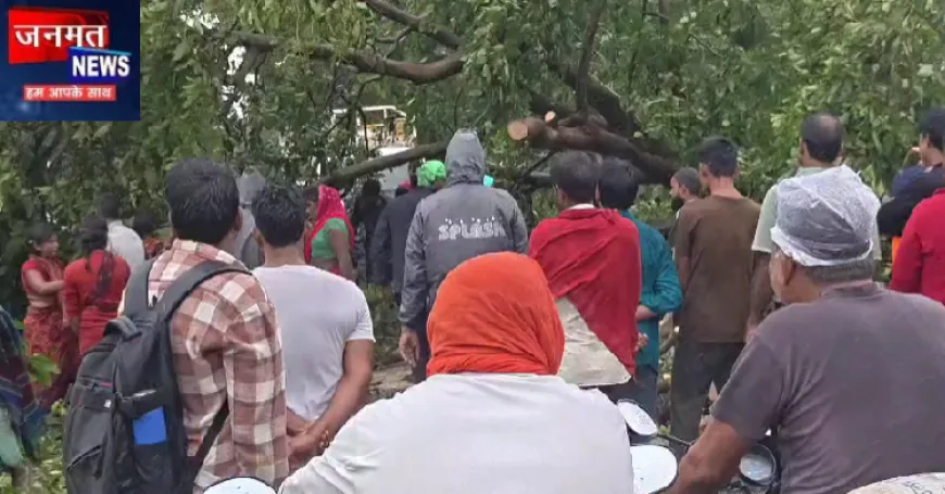 बहराइच में 72 घंटे से लगातार बारिश से जनजीवन प्रभावित, कई इलाकों में पेड़ गिरने से सड़कें बाधित