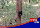 अयोध्या सैन्य छावनी में तेंदुए की पुष्टि, अलर्ट मोड पर सेना व वन विभाग की टीम