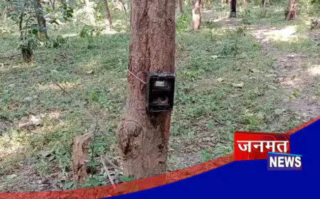 अयोध्या सैन्य छावनी में तेंदुए की पुष्टि, अलर्ट मोड पर सेना व वन विभाग की टीम