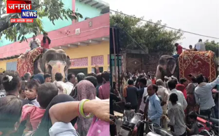 संभल में 74 साल की महिला की अनोखी अंतिम यात्रा, पालतू हाथियों ने भी नहीं छोड़ा साथ