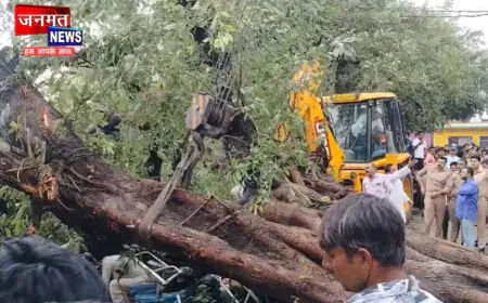 संभल में तेज बारिश और ओलावृष्टि के बीच दर्दनाक हादसा, पेड़ के नीचे दबकर ई-रिक्शा चालक की मौत
