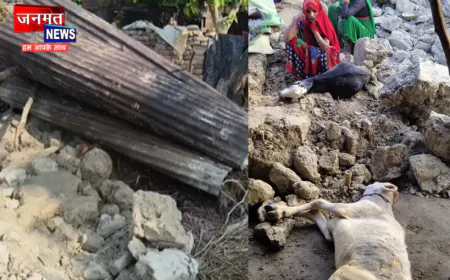 सीतापुर: कच्ची दीवार बनी काल, मलबे में दबकर बकरा और बछड़े की मौत; एक व्यक्ति गंभीर घायल