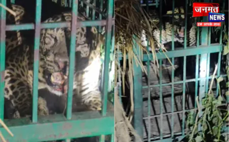 बहराइच: कतर्नियाघाट में पिंजरे में कैद हुआ तेंदुआ, ग्रामीणों ने ली राहत की सांस
