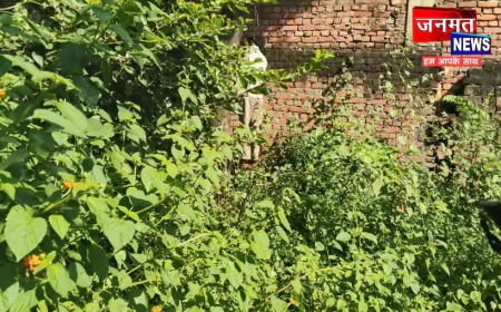 शाहजहांपुर: बीमारी से परेशान युवक ने पेड़ से लटककर की आत्महत्या, पुलिस कर रही है मामले की जांच