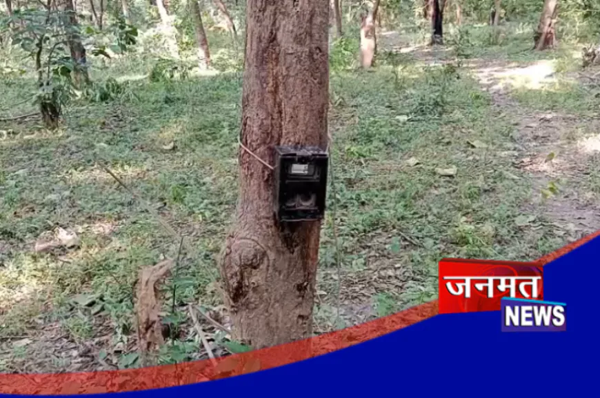 अयोध्या सैन्य छावनी में तेंदुए की पुष्टि, अलर्ट मोड पर सेना व वन विभाग की टीम