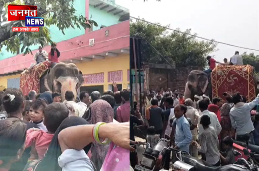 संभल में 74 साल की महिला की अनोखी अंतिम यात्रा, पालतू हाथियों ने भी नहीं छोड़ा साथ