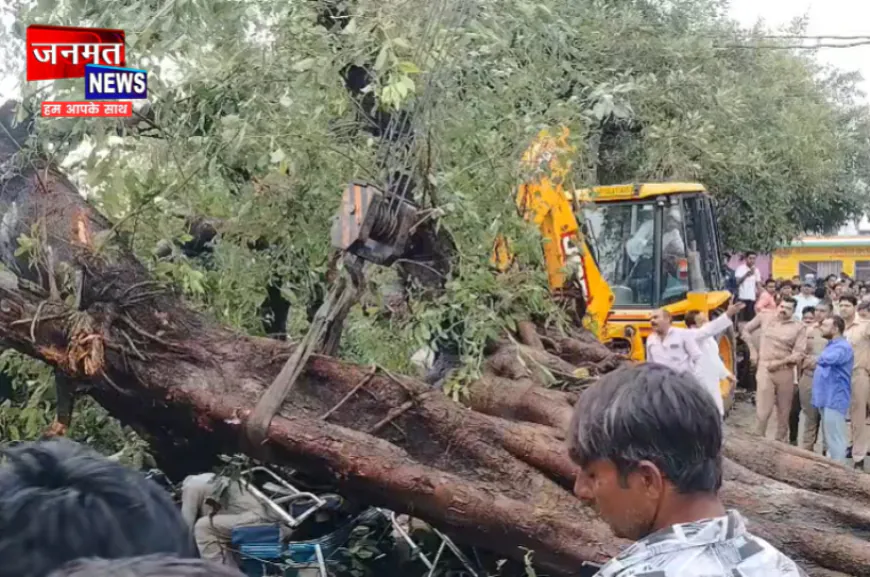 संभल में तेज बारिश और ओलावृष्टि के बीच दर्दनाक हादसा, पेड़ के नीचे दबकर ई-रिक्शा चालक की मौत