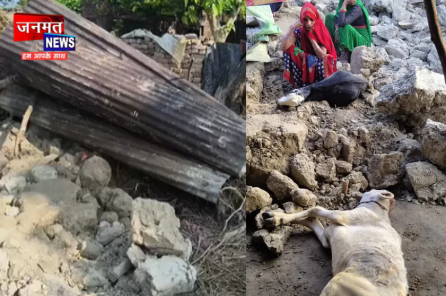 सीतापुर: कच्ची दीवार बनी काल, मलबे में दबकर बकरा और बछड़े की मौत; एक व्यक्ति गंभीर घायल